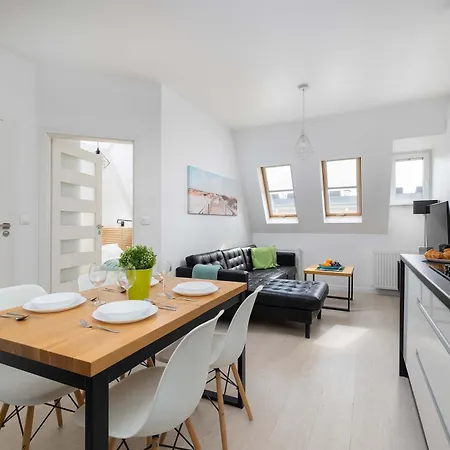 Unique And Spacious With Air Conditioning By Renters Apartment Szczecin